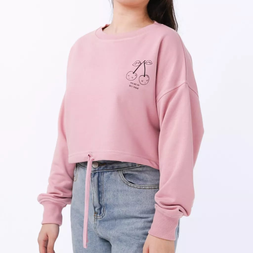 YOU ARE MY BEST FRIEND APPLE SWEATER CROP PS