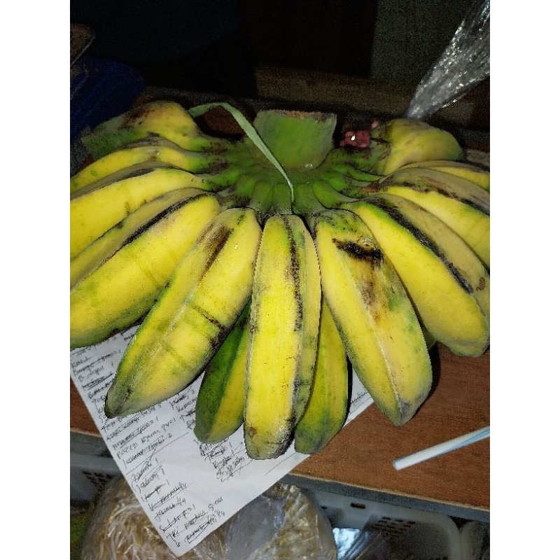 

pisang kepok kuning