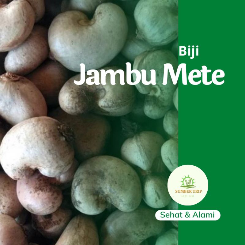 

Biji Jambu Mete 1 Kg
