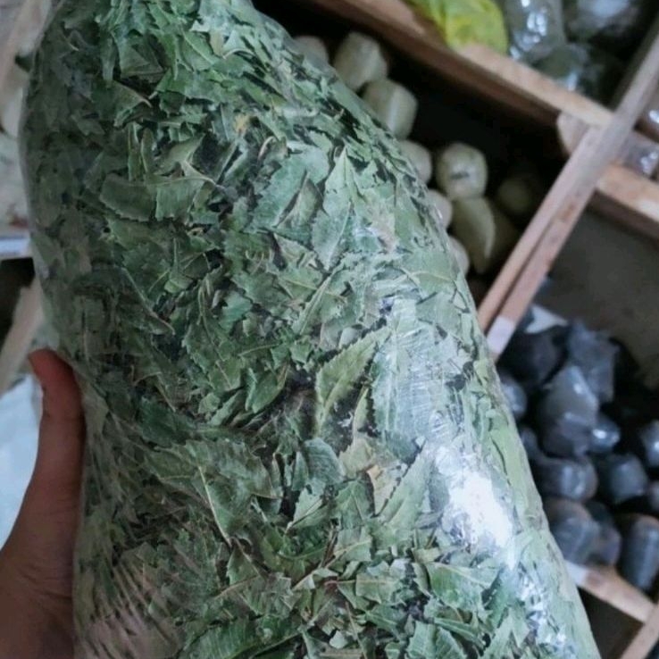 

Daun Mimba Kering 1Kg Penuh Manfaat 100%Murni