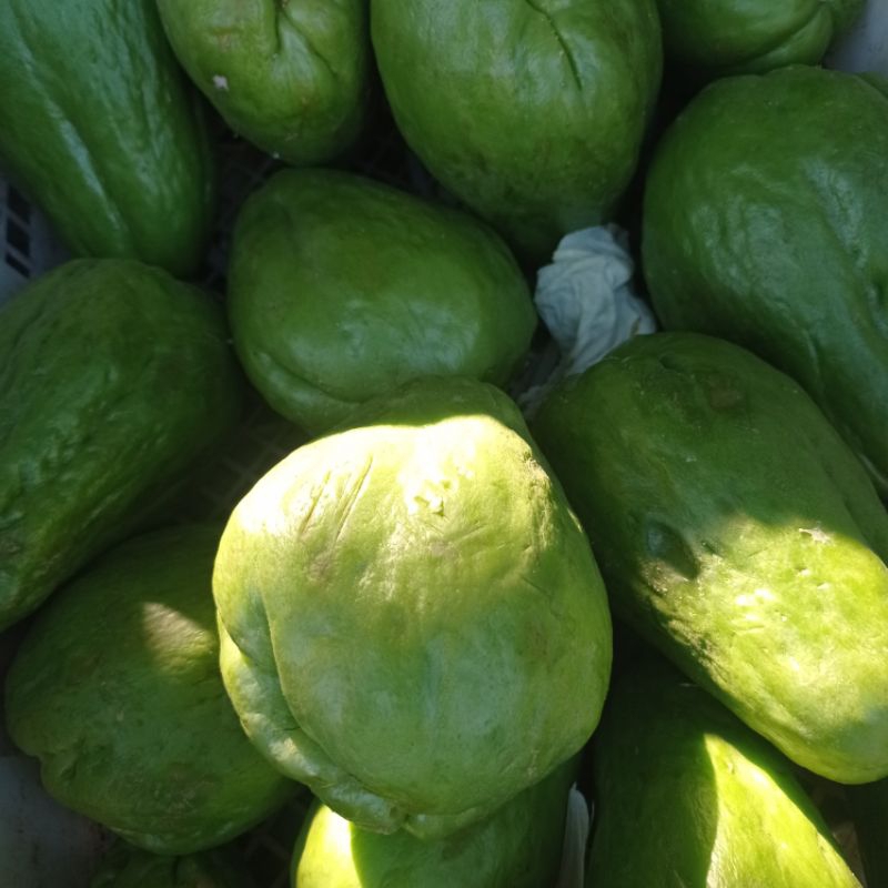 

LABU SIEM 500gram BAHAN MASAKAN SAYUR BAHAN POKOK