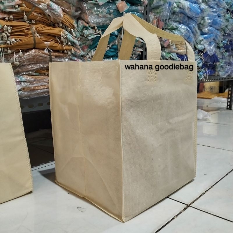 tas spunbond goodiebag box 22x22 kotak press 12pcs