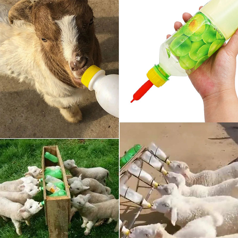 Dot Cempe Anak Kambing Dot Domba Kecil Silikon Hewan