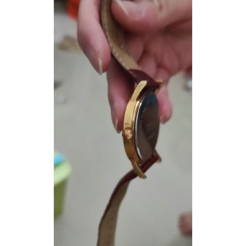 TITUS Brown Watch Original