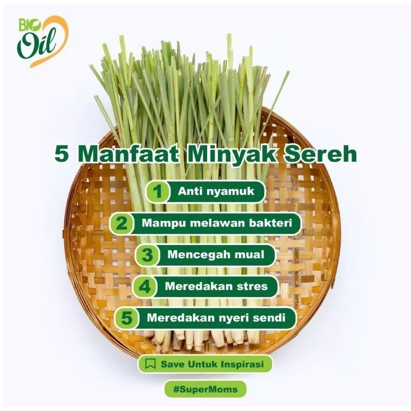 Minyak Sereh Wangi BIO OIL Alami Anti Gigitan Nyamuk Pijat Urut Pegel Linu Nyeri Otot 30 Ml | 50 Ml