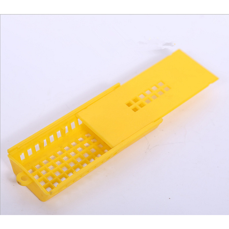 1 pcs Peternakan Lebah Ratu Kandang Kandang Lebah Sarang Lebah Madu Peternakan Lebah Alat Grosir Ter