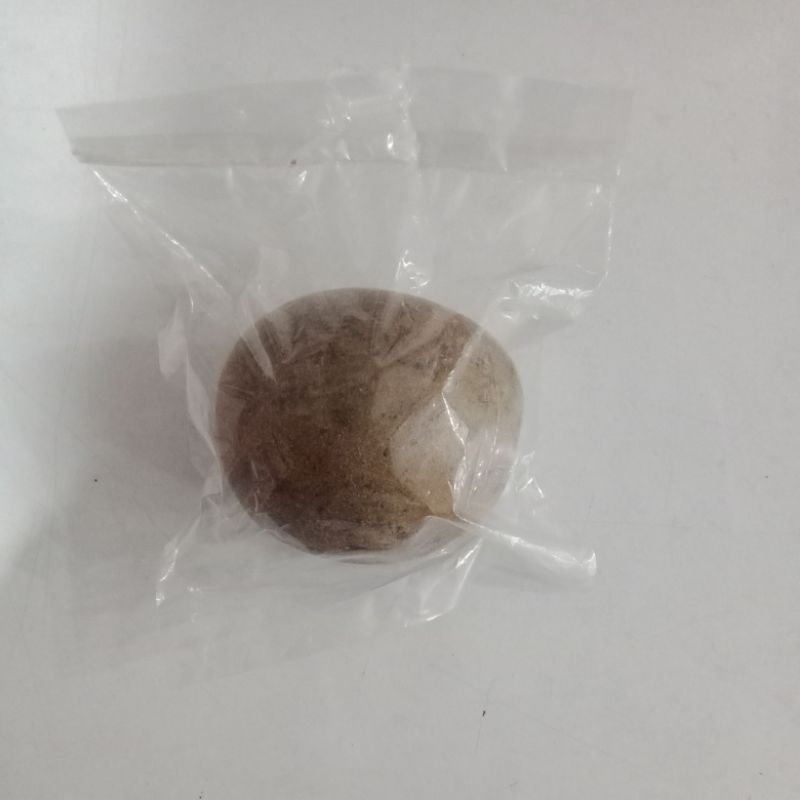 

Lo han kuo buah