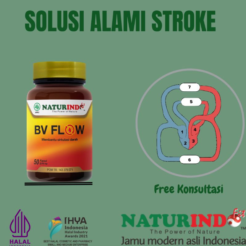 Obat Herbal Memperlancar Sirkulasi Darah Dan Kesemutan Varises Kebas BV Flow