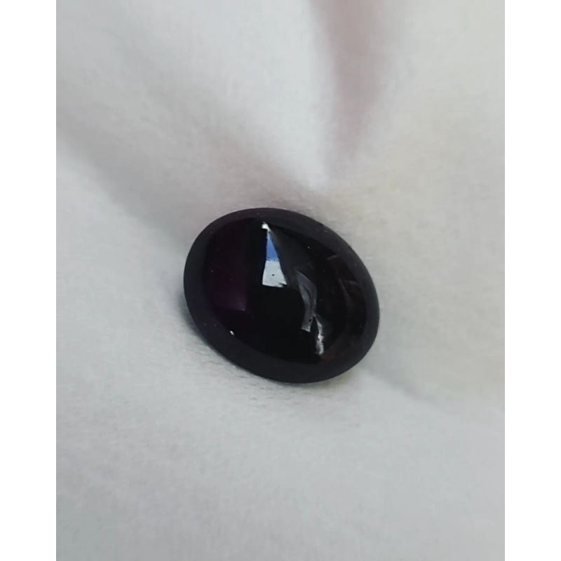 KECUBUNG WULUNG ASLI BORNEO