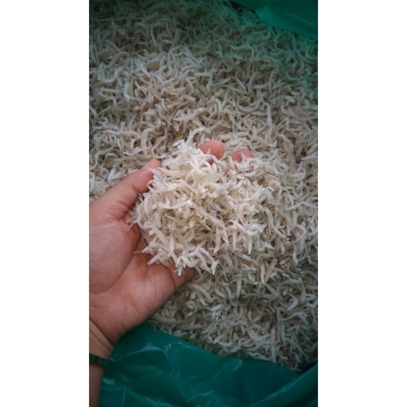 

Ikan Asin Teri Nasi Medan 250 gr