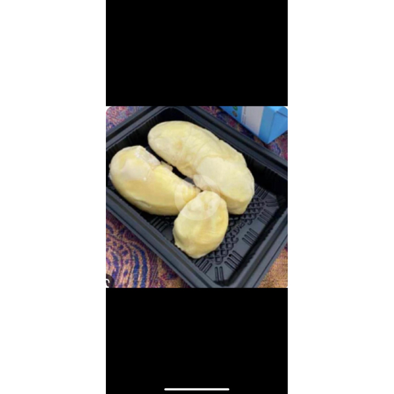 

durian d24