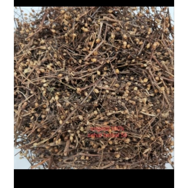 

Tan Chao/Mo Tan Chao / Untuk mengobati sakit Panas. panas dalam 10gram