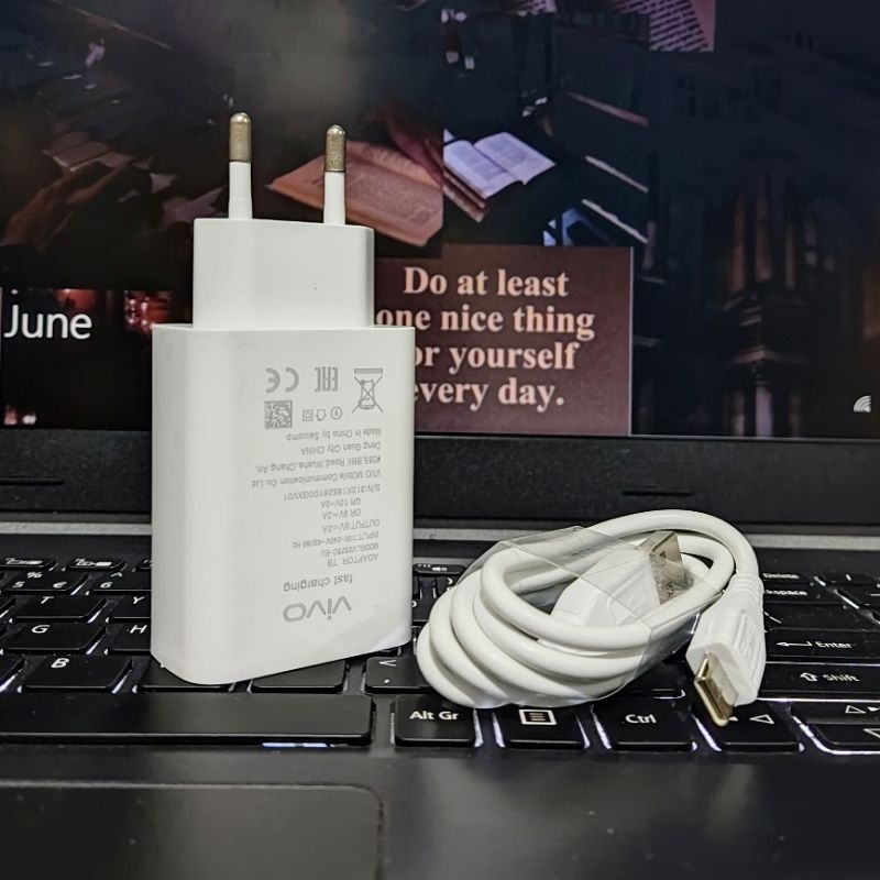 CHARGER ORIGINAL VIVO TYPE C ~ FAST CHARGER VIVO Y21  Y30  Y50  V17 PRO  V19