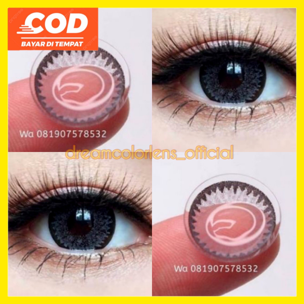 SOFTLENS PEAR GRAY | SOFTLENS DREAMCOLOR1 | SOFTLENS KOREA | SOFTLENS GRAY