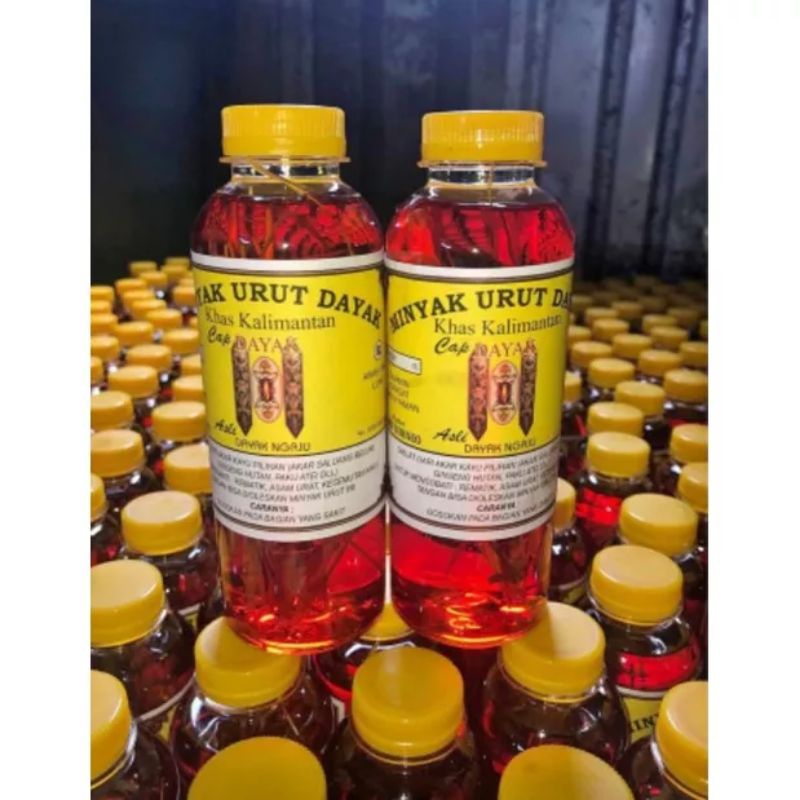minyak urut dayak perisai borneo