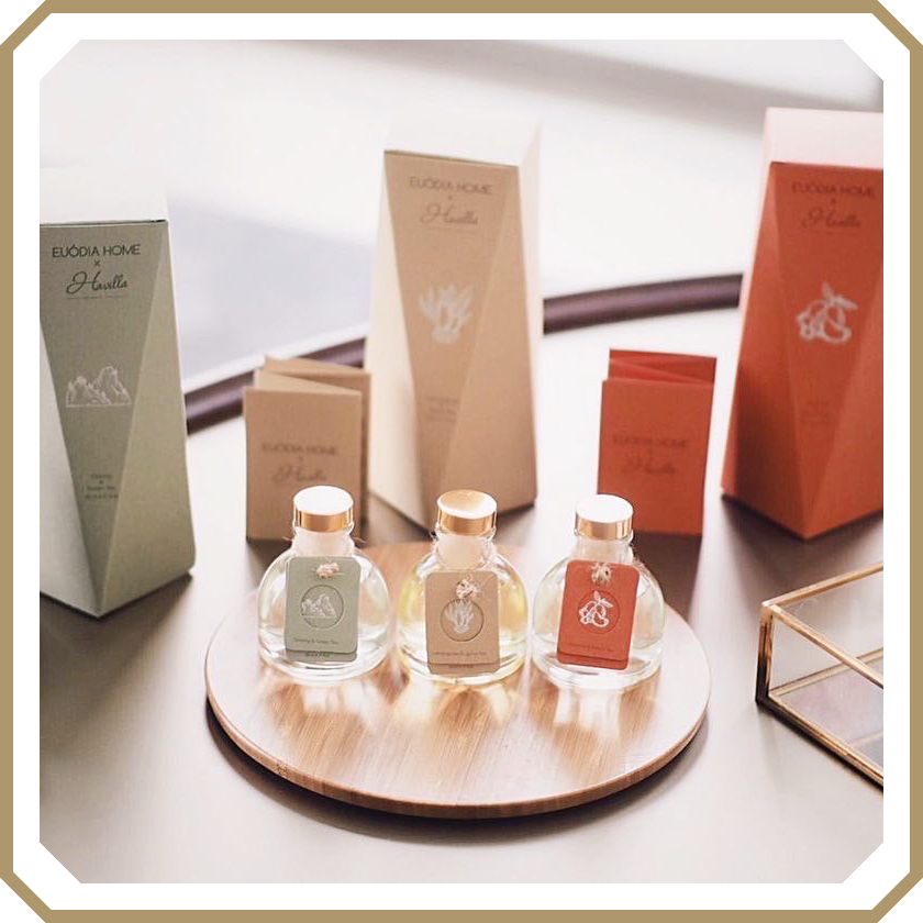 Havilla x Euodia Home : : Oolong and Green Tea Fragrance Diffuser 50 ml / Pewangi Ruangan / Home Decor
