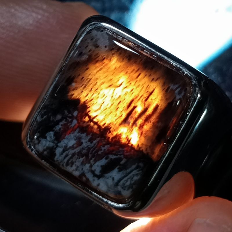 Cincin Batu Fosil Galih Kelor - Fosil Kayu Kristal