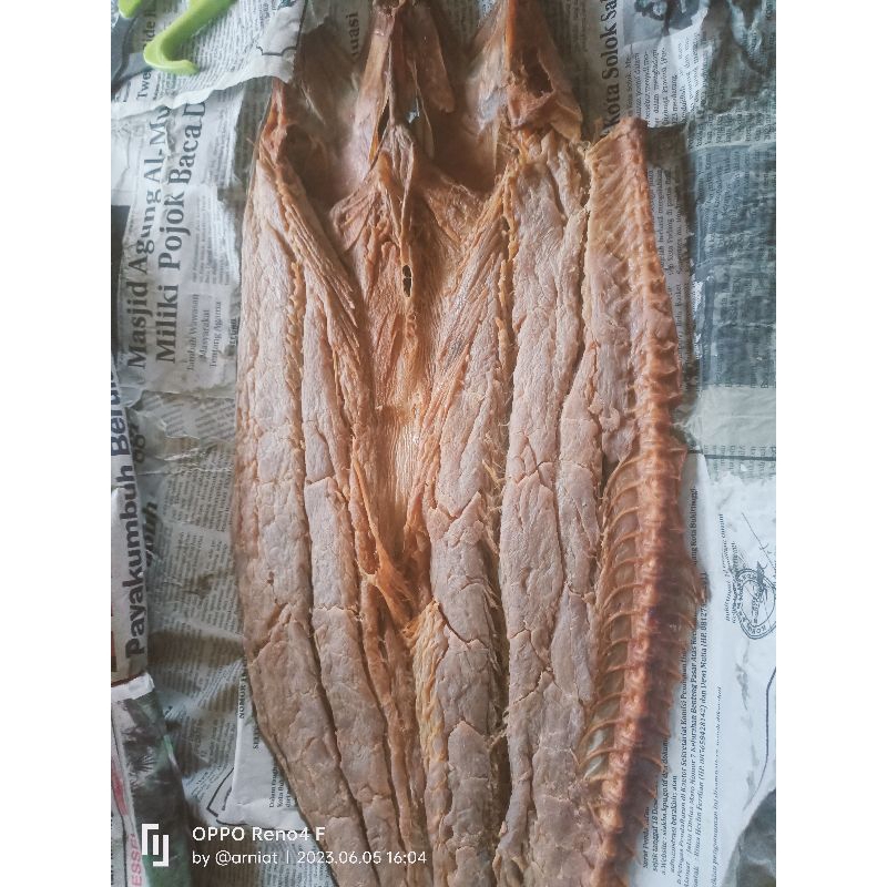 

Ikan - Lauk Budu Tenggiri khas Tiku Minangkabau