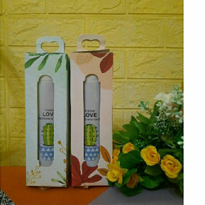 souvenir botol kaktus + box