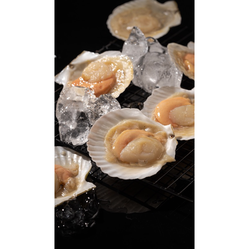 

SCALLOP HALF SHELL - FROZEN FOOD - KUUSTORE