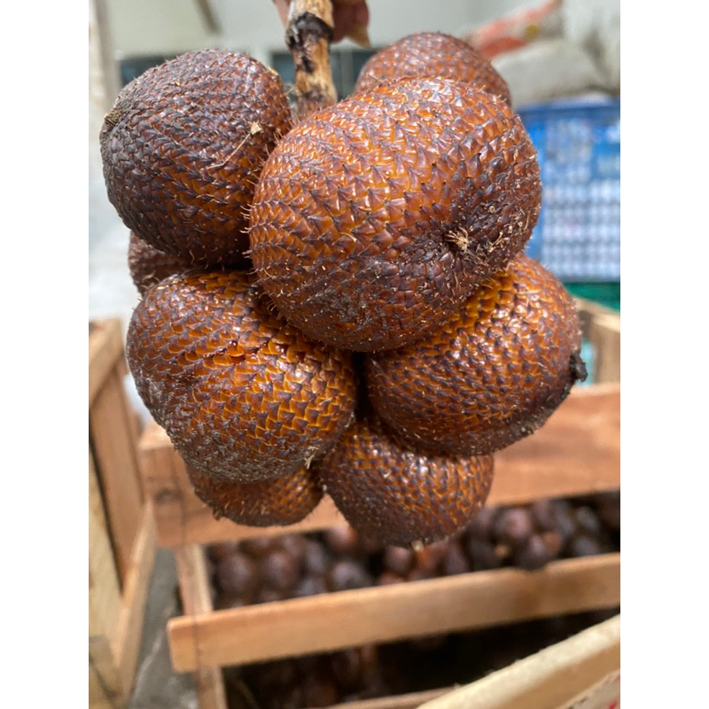 

Salak gula pasir asli bali (2kg)