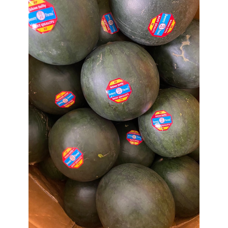 

Semangka baby black (5kg)