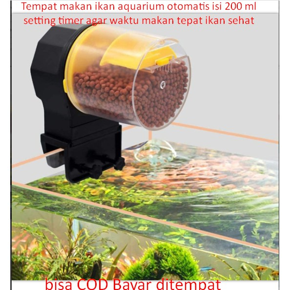 tempat makan ikan otomatis/tempat makan otomatis/pakan ikan otomatis/feeder ikan otomatis/alat pakan