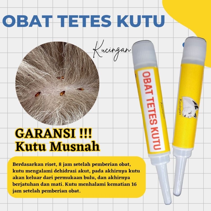 OBAT TETES KUTU Kucingan Obat Pembasmi Kutu Kucing Anjing