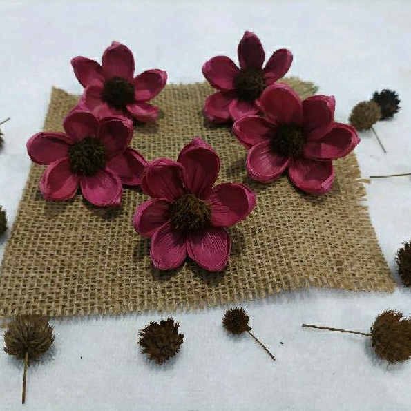 Bunga klobot kamboja merah