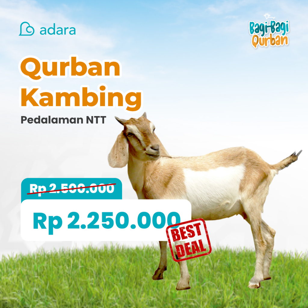 

[PALING MURAH] Qurban Kambing (23-25kg) Pedalaman NTT