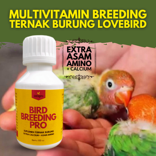 Vitamin Breeding Lovebird / Vitamin Ternak Lovebird / Obat Ternak Burung Lovebird Breeding Terbaik