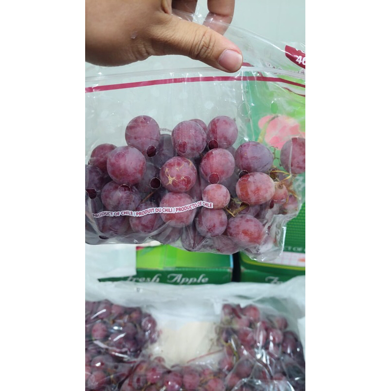 

Anggur Red Globe Chille Manis 8 Kg / Box