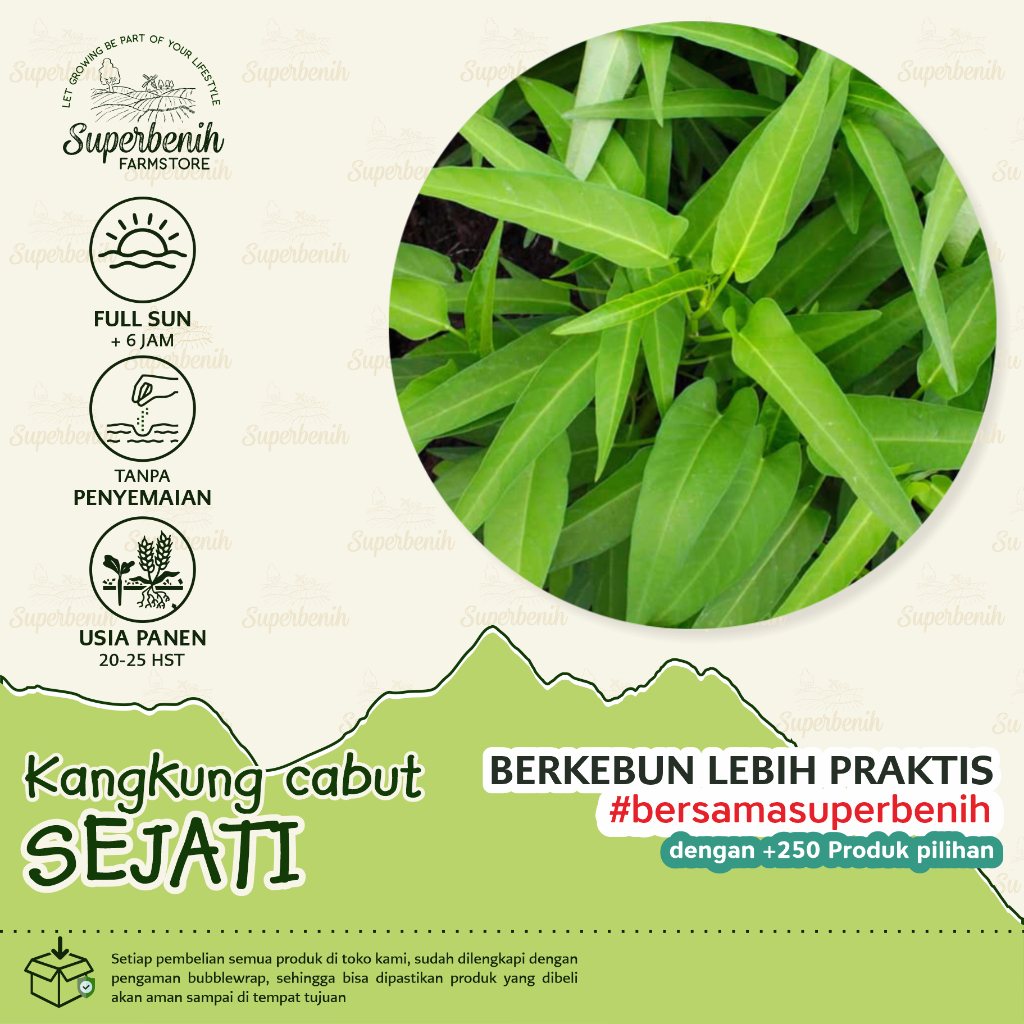 500 Biji - Benih Kangkung SEJATI Cap Bunga Matahari