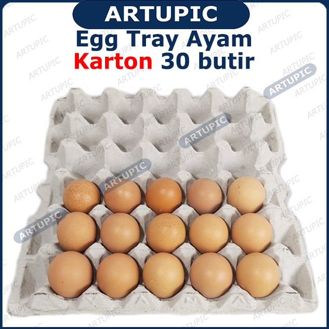 Egg Tray Ayam KARTON Kertas kardus rak Tempat Telur Telor ayam bebek 70 lembar