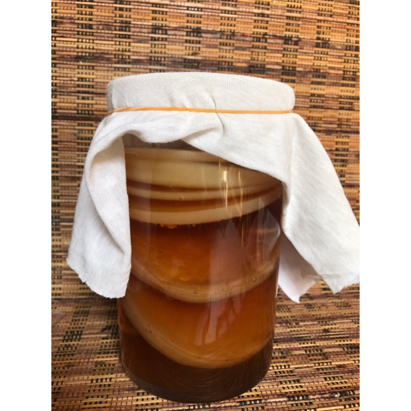 

JUAL JAMUR DIPO//KOMBUCHA//SCOBY//TEH FERMENTASI