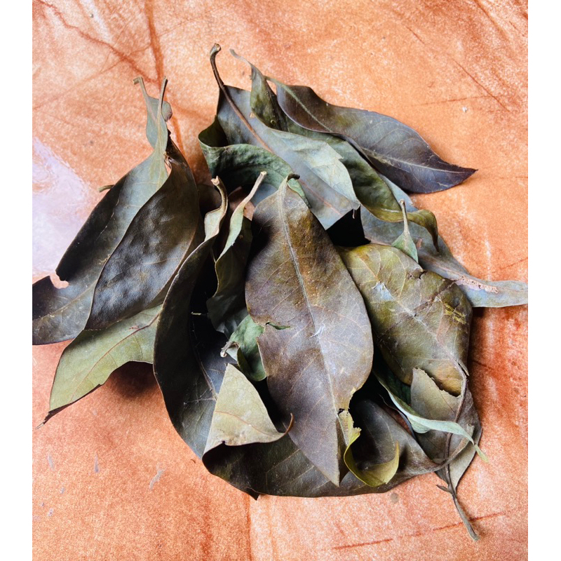 

Daun puspa kering alami organik dan natural-az