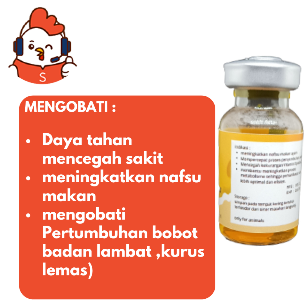 vitamin B komplek injeck kekebalan tubuh nafsu makan untuk ayam anjing sapi kambing zeorfarm