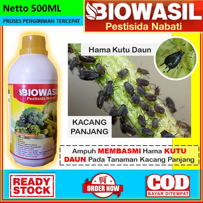 OBAT ANTI HAMA KUTU DAUN UNTUK TANAMAN KACANG PANJANG [BIOWASIL] Obat Cair Pestisida Nabati Anti Ham