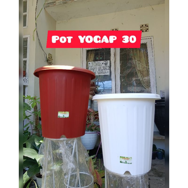 Pot plastik YPT YOGAP 30 - Pot bunga Yogap 30 warna bata dan putih