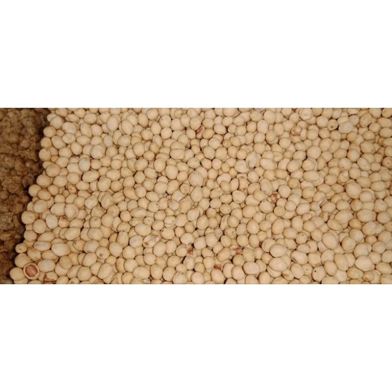 

KACANG ATOM 1 Kg
