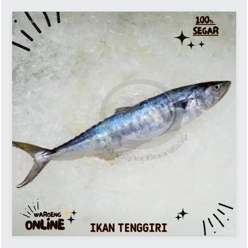 

Ikan Tenggiri Segar 500gr