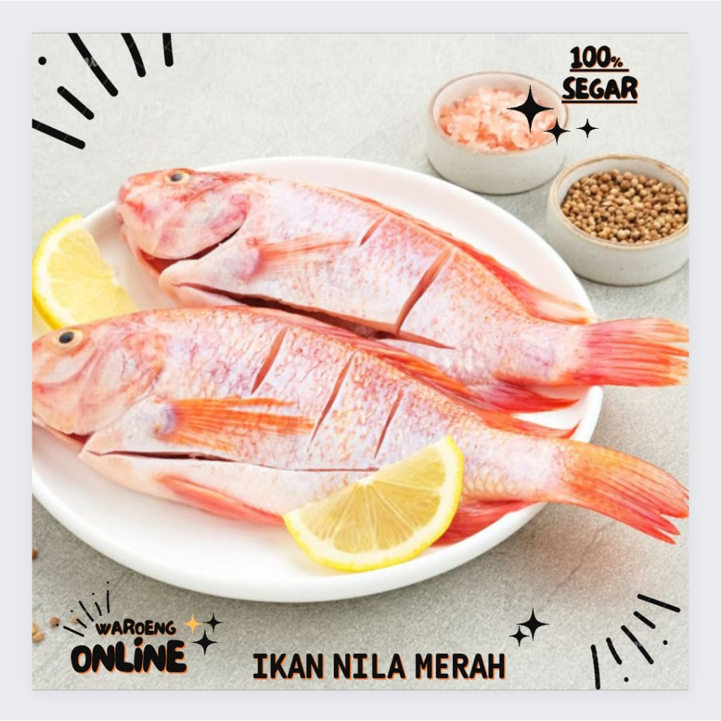 

Ikan Nila Merah Segar 500gr