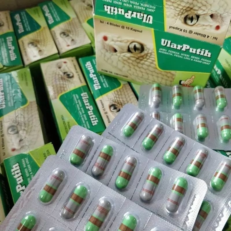 Kapsul Ular Putih 1 box Obat Asam Urat Nyeri sendi