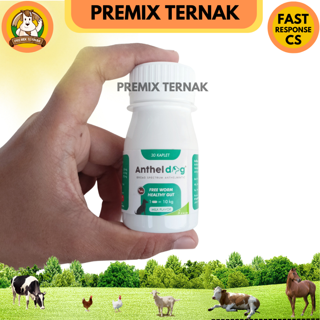 ANTHEL DOG 30 tablet (KEMASAN BOTOL) - Obat cacing anjing like DRONTAL DOG PLUS TASTY