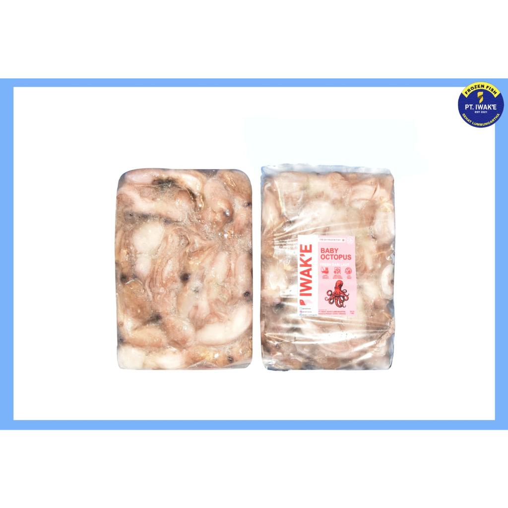 BABY OCTOPUS / GURITA 1KG MENTAH IWAKE