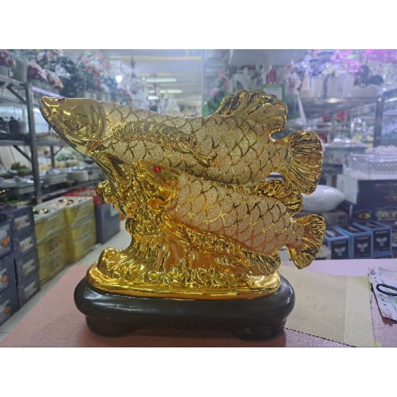 Arwana gandeng gold
