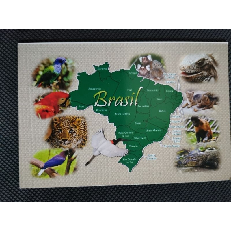 

kartu pos peta brazil/brazil map postcard