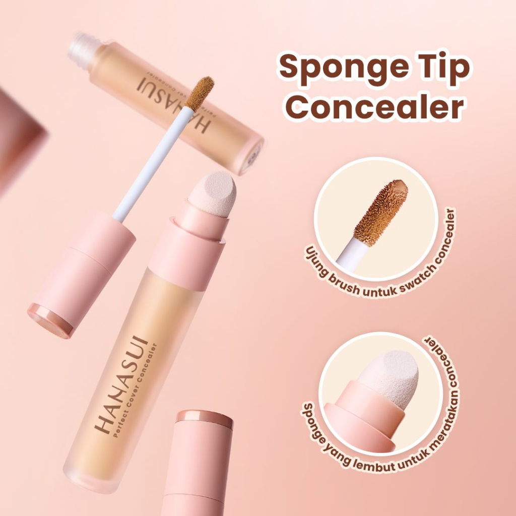 Hanasui Perfect Cover Concealer 4,5g