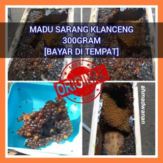 

Sarang Madu Klanceng - Sarang Madu Trigona - Sarang Madu Kelulut Asli Masih Steril