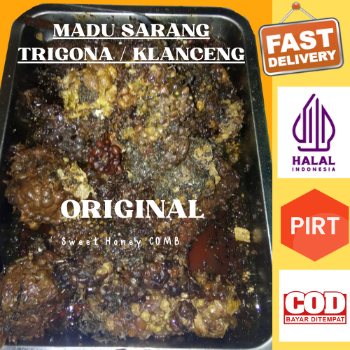 

Budidaya Lebah Klanceng Kelulut Lebah Madu Sarang Madu Lebah Klanceng Lebah Trigona Lebah Kelulut